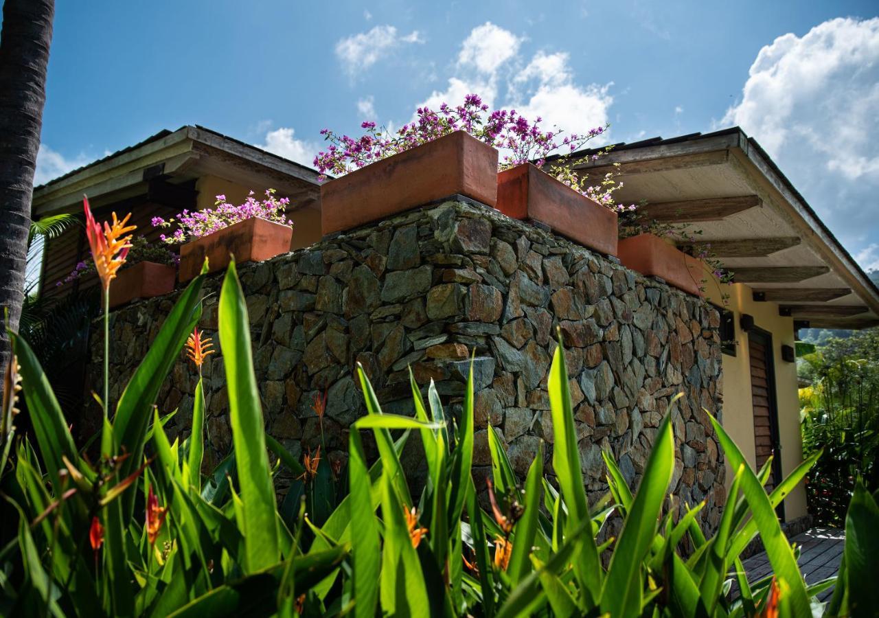 Gardenia Springs Hotel Buritaca Bagian luar foto